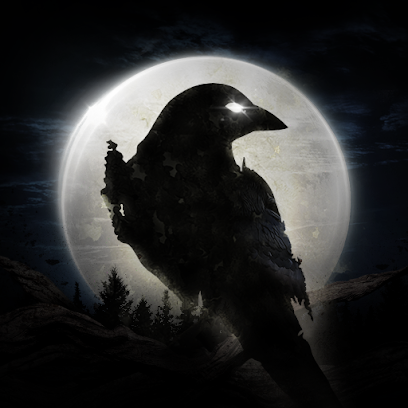 NIGHT CROWS preview image